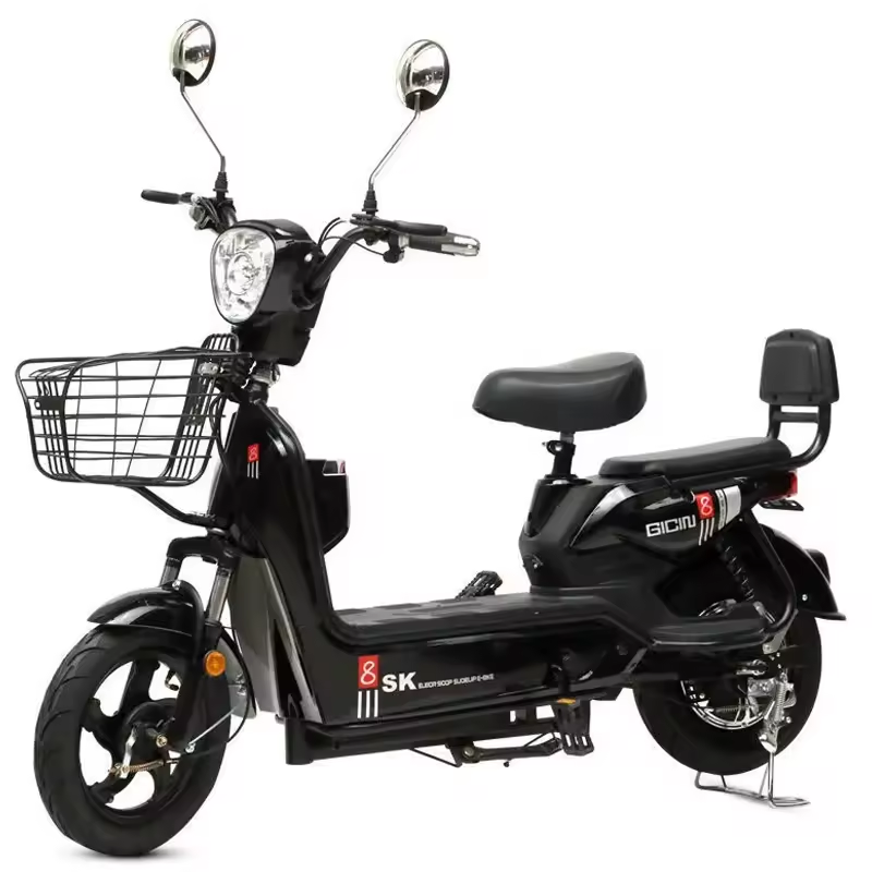 Best Price Electric City Bike  - đánh giá và giá Cycling In City