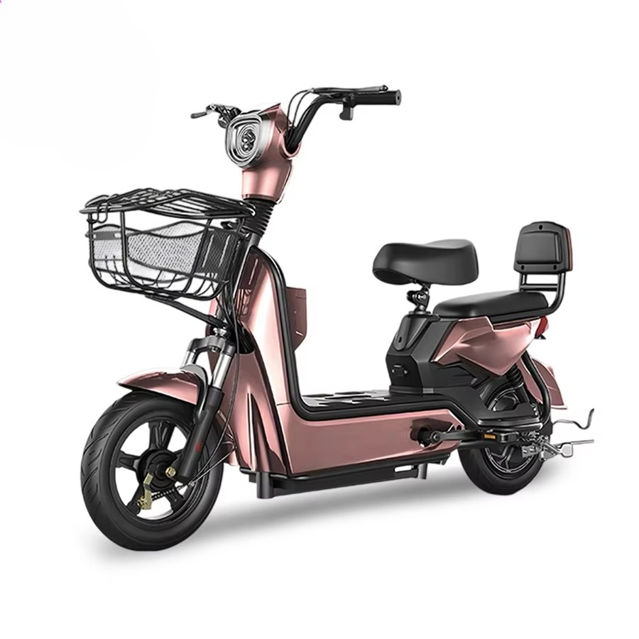 Best Price Electric City Bike  - đánh giá và giá Cycling In City